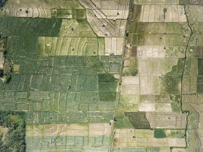 Ariel view of agricultural fields