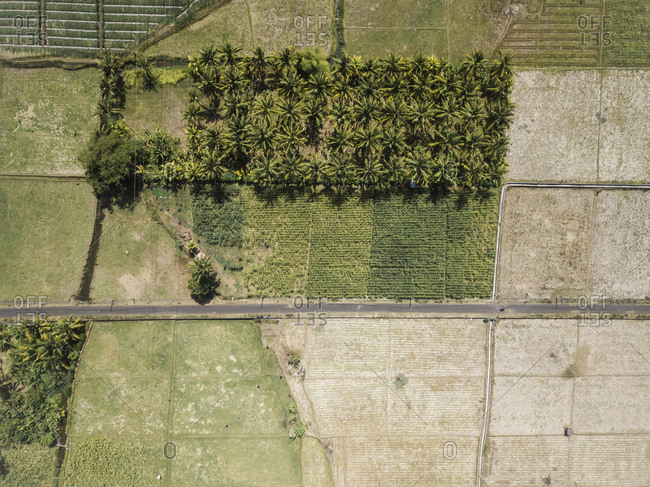 Ariel view of agricultural fields