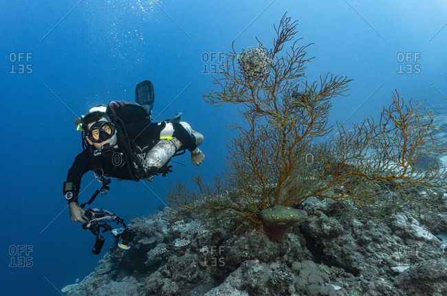 Scuba diver exploring the great barrier reef in Australia