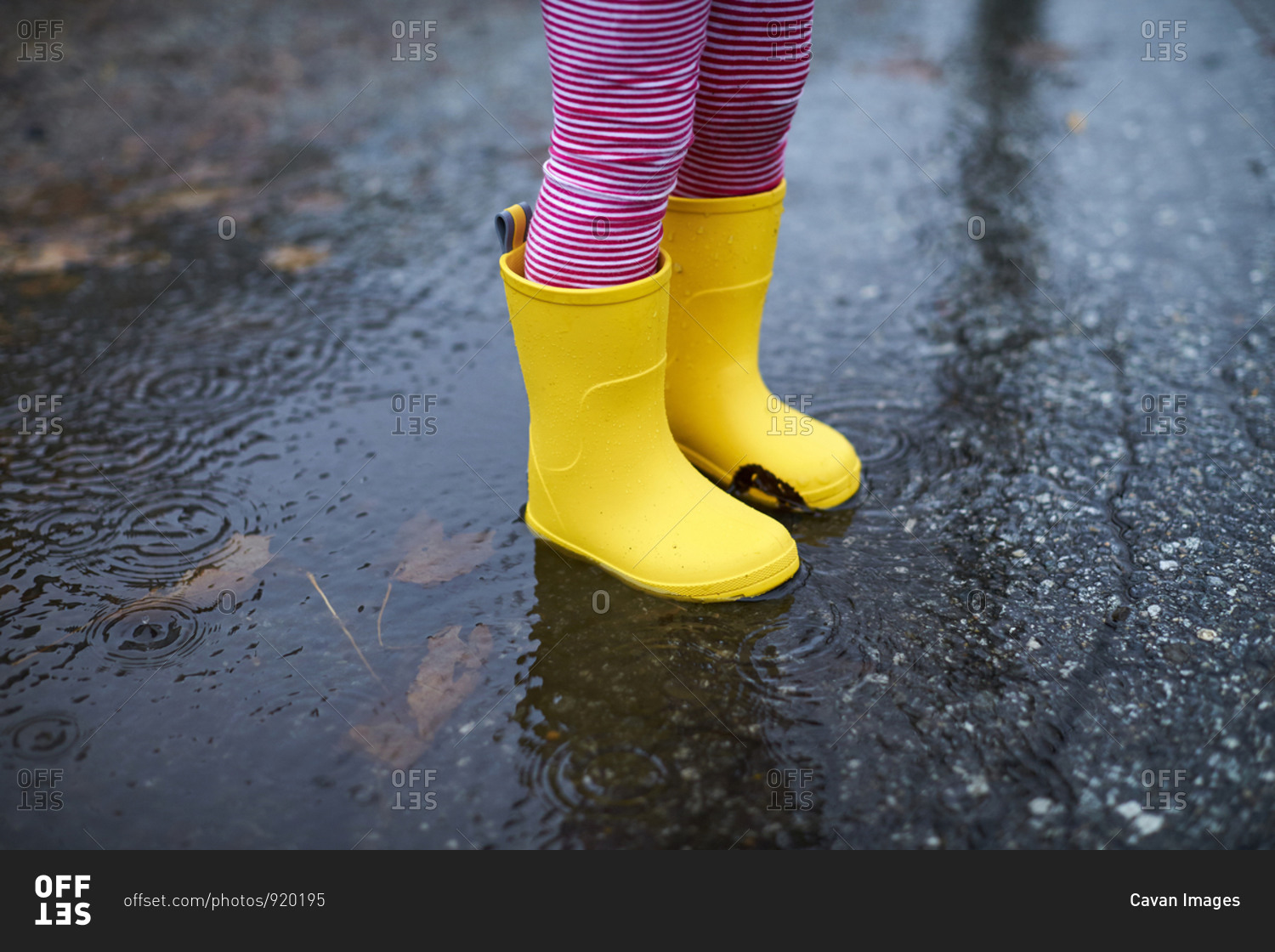 A close of up a child\'s rain boots in a puddle.