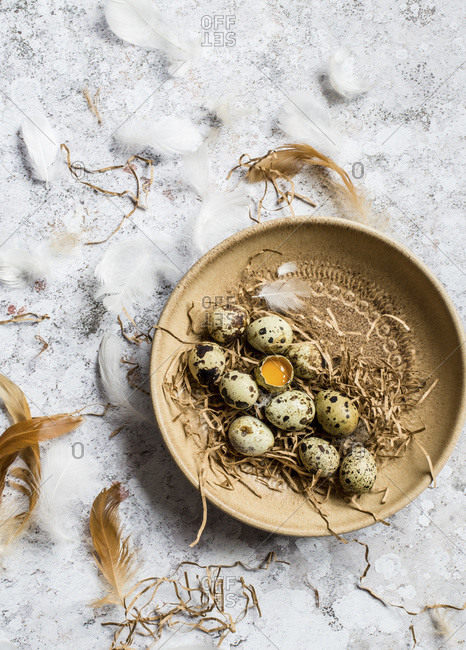 Quail eggs in a brown ceramic bowl, one egg is cracked open, and feathers are around the bowl.