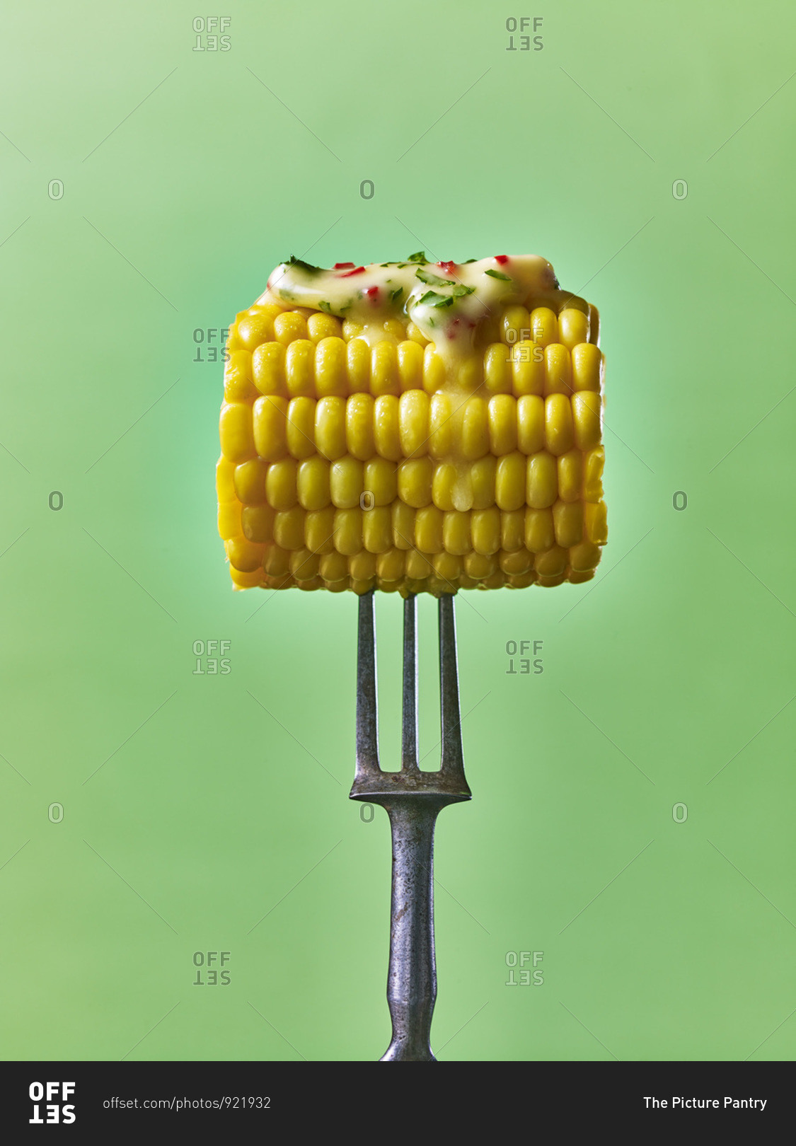Corn on the cob with melted butter dripping, on a fork, against a green background