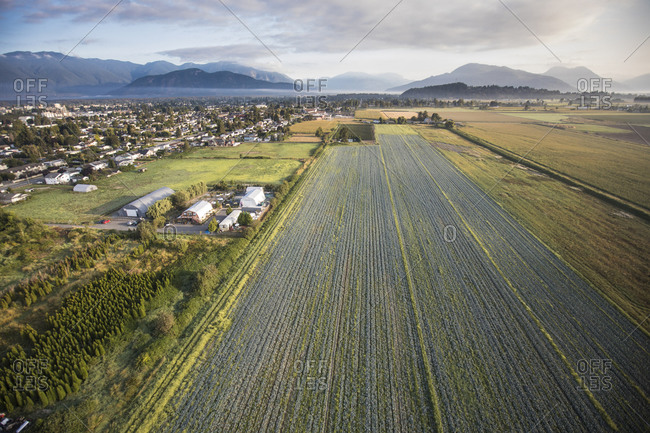 Aerial view of farm fields in Chilliwack, British Columbia.