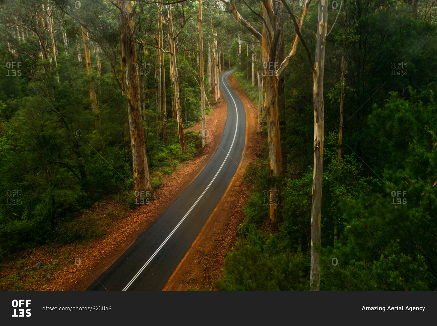 Aerial view of winding road through the forest in the Greater Beedleup ...