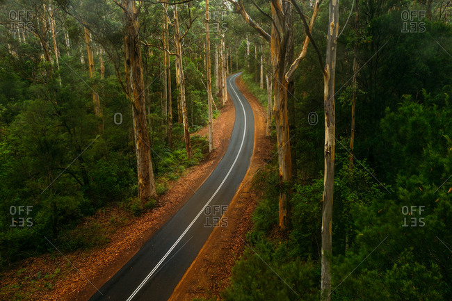 Aerial view of winding road through the forest in the Greater Beedleup National Park, Western Australia, Australia.