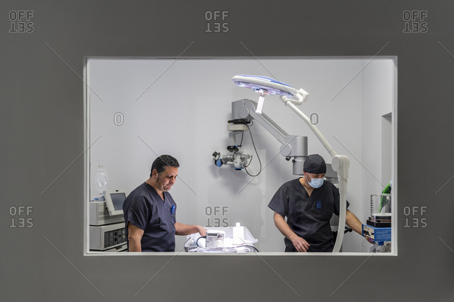 Veterinarian and assistant in operating room in clinic