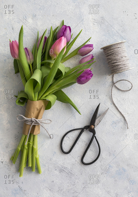 Pair of scissors- spool of string and bouquet of purple blooming tulips