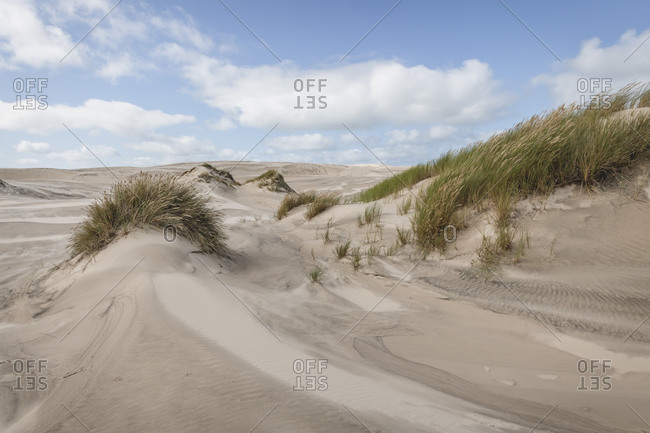 Denmark- Skagen- Sand of migrating Rabjerg Mile dune