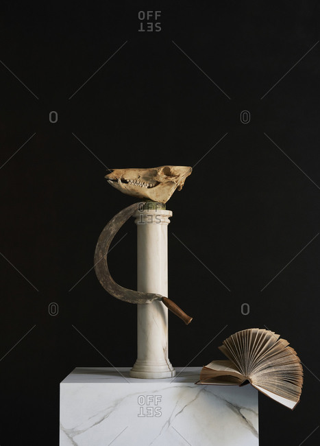 Animal skull, scythe and book on pedestal