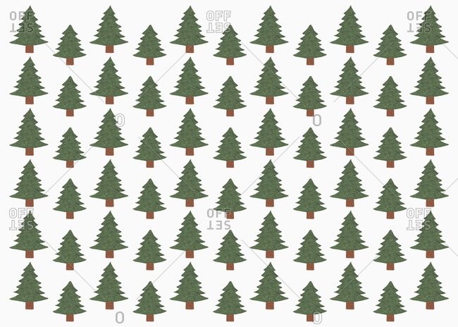 Simple Green Pine Tree Christmas Wrapping Paper