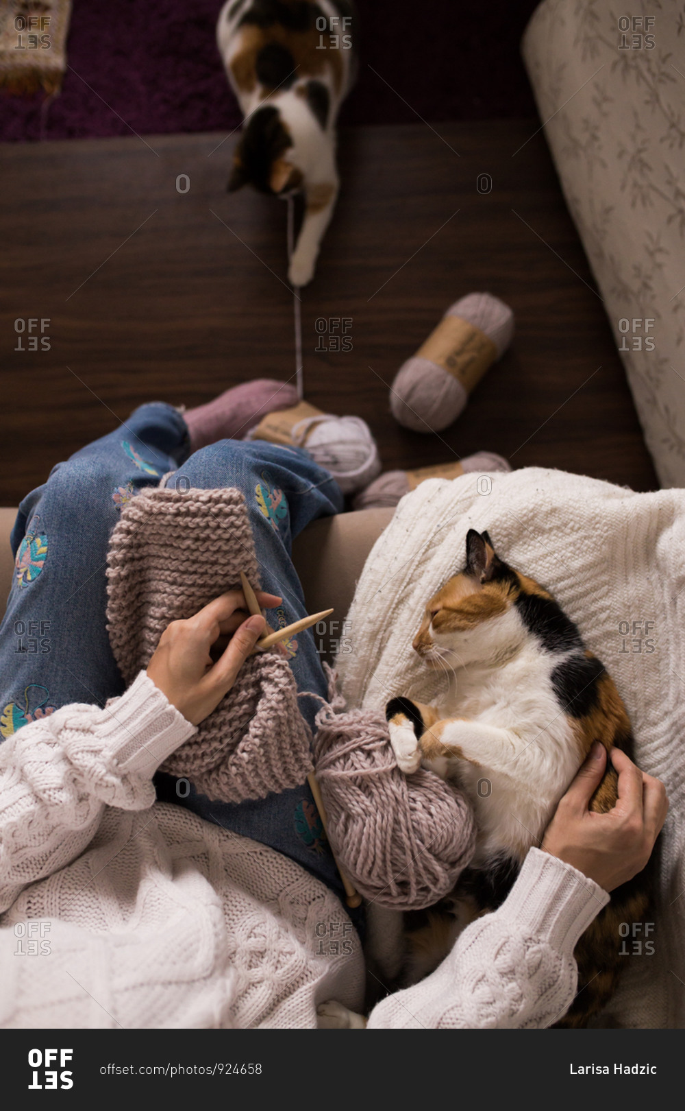 Cats playing with yarn while woman knits at home