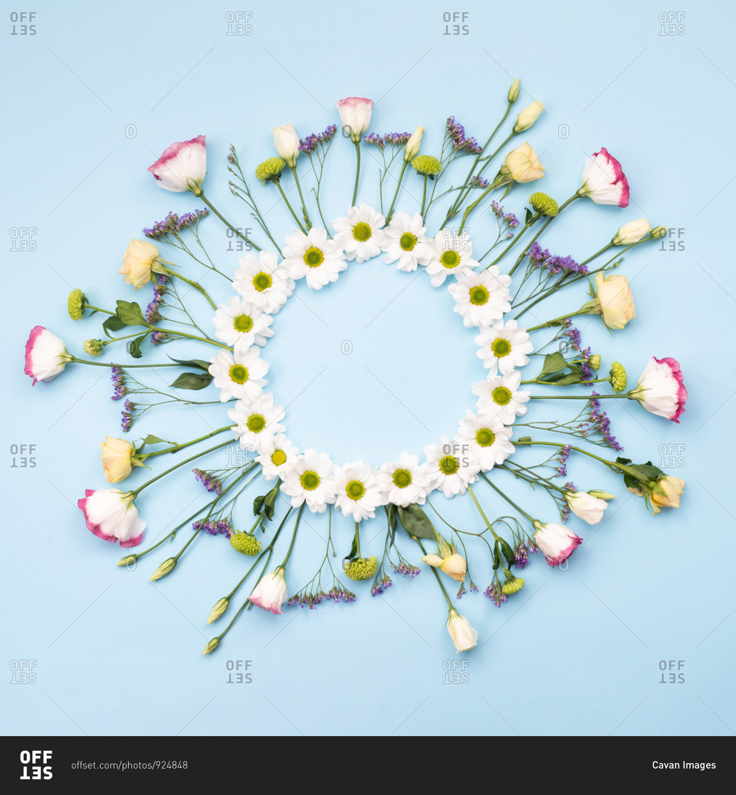Beautiful flowers composition. Wreath made of white flowers. Valentines Day, Happy Women\'s Day, Mother\'s Day. Flat lay, top view, copy space