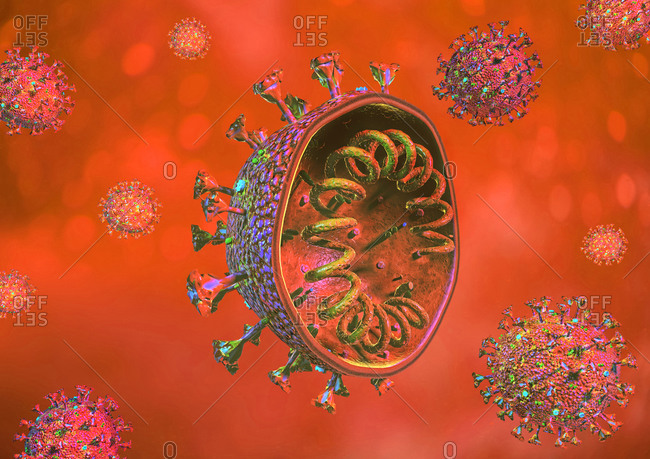 Coronavirus cross section, illustration. 3D rendering on red-orange background.