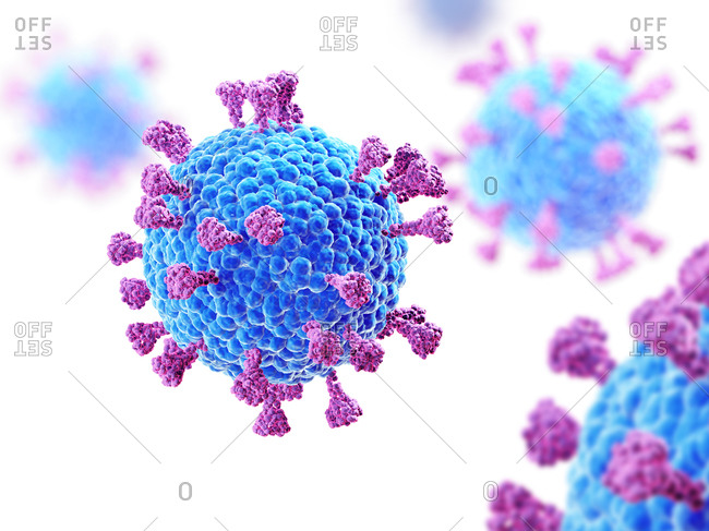 Coronavirus particles, illustration. Different strains of coronavirus are responsible for diseases such as the common cold, gastroenteritis and SARS (severe acute respiratory syndrome). The new coronavirus SARS-CoV-2 (previously 2019-CoV) emerged in Wuhan, China, in December 2019. The virus causes a mild respiratory illness (Covid-19) that can develop into pneumonia and be fatal in some cases. The coronaviruses take their name from their crown (corona) of surface spike proteins (large protrusions), which are used to attach and penetrate their host cells.