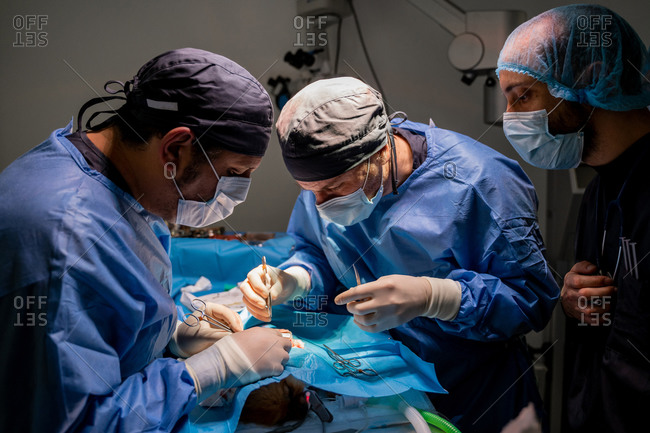 Veterinarian surgeons and nurses in uniform concentrating and operating dog using special equipment in operating room of contemporary hospital