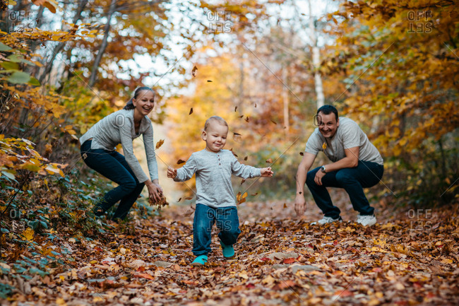 Young boy playing in autumn leaves. Child walking through leaves in woods with mother and father.