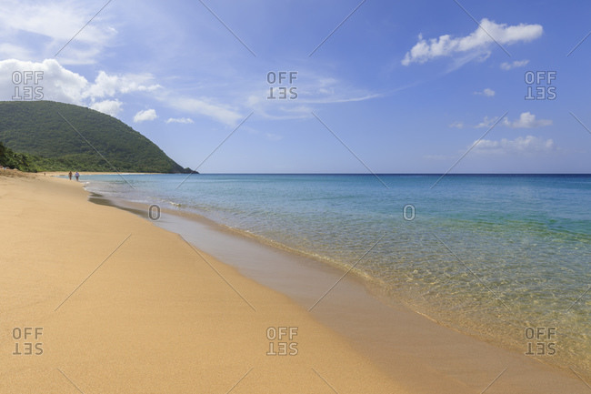 Tropical Grande Anse beach, palm trees, blue sea, golden sand, Deshaies, Basse Terre, Guadeloupe, Leeward Islands, West Indies, Caribbean, Central America
