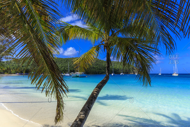 December 6, 2019: Stunning Saltwhistle Bay, yachts, white sand beach, blue sea, overhanging palm trees, Mayreau, Grenadines