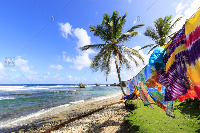 Bathsheba, colorful garments blow in the breeze, windswept palm trees, Atlantic waves, rugged East Coast, Barbados