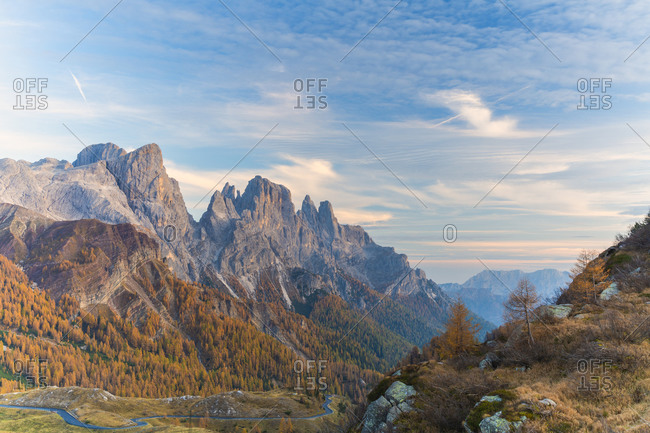 Woods in autumn with Pala di San Martino and Cima Della Rosetta in background, Pale di San Martino, Rolle Pass, Trentino, Italy, Europe
