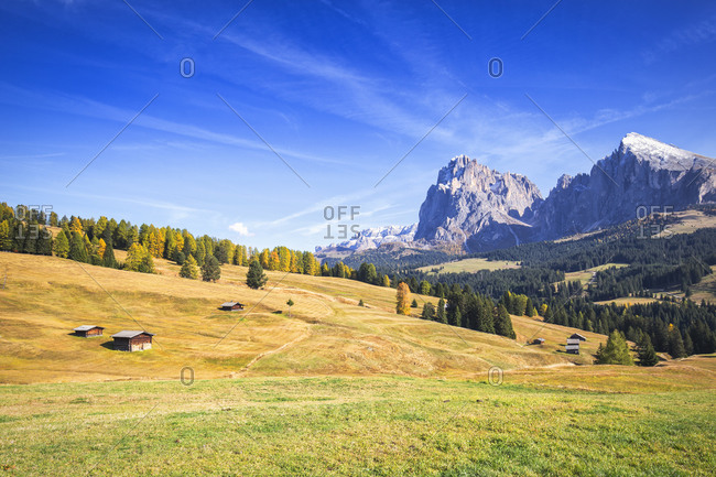 Autumn color at Seiser Alm, Dolomites, province of Bolzano, South Tirol, Italy, Europe