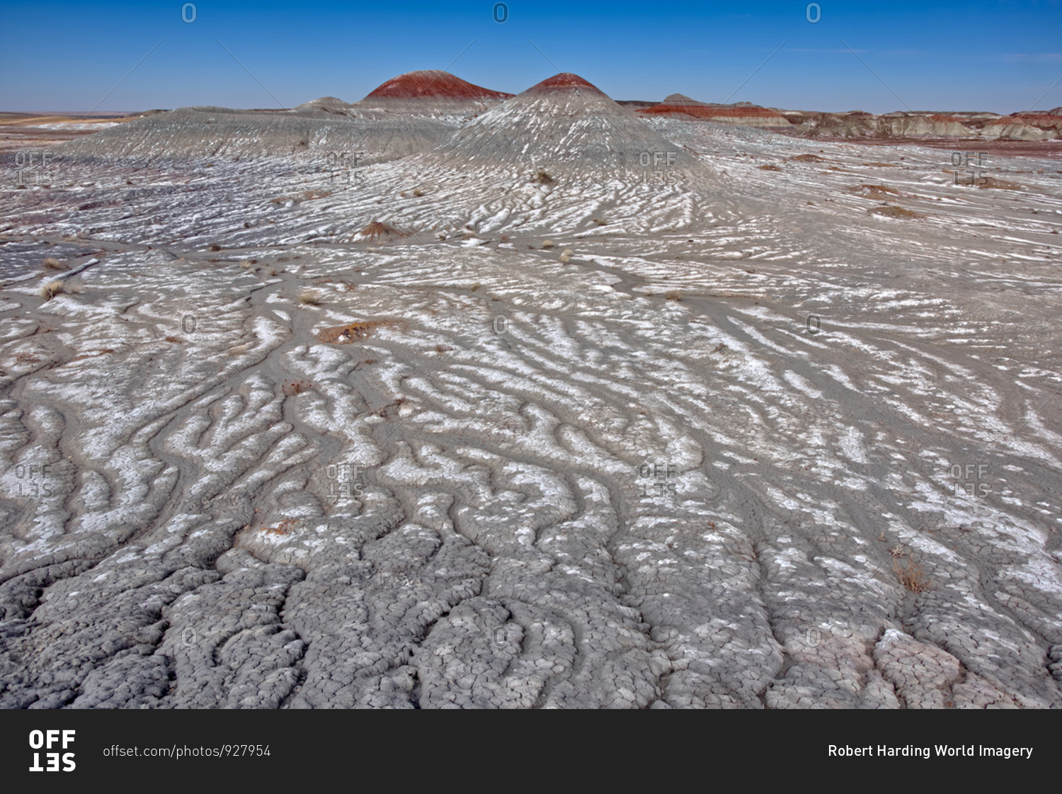 Salt covered hills of Bentonite in the Petrified Forest National Park along the Blue Forest Trail, Arizona, United States of America, North America