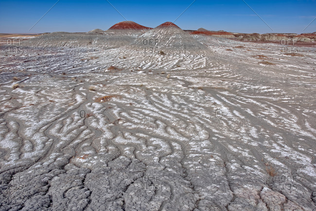Salt covered hills of Bentonite in the Petrified Forest National Park along the Blue Forest Trail, Arizona, United States of America, North America