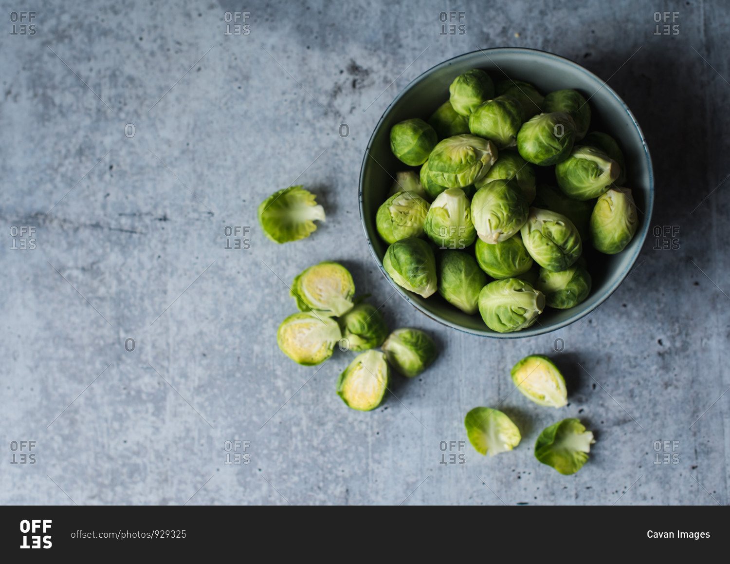 Overhead view of bowl of Brussels sprouts on cement counter.