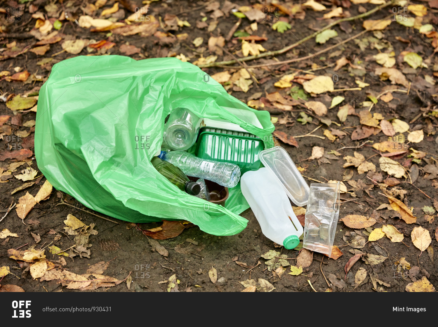 Plastic bag filled with plastic litter spilling on to woodland floor
