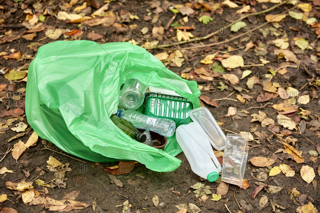 Plastic garbage bags full of leaves at autumn Stock Photo by