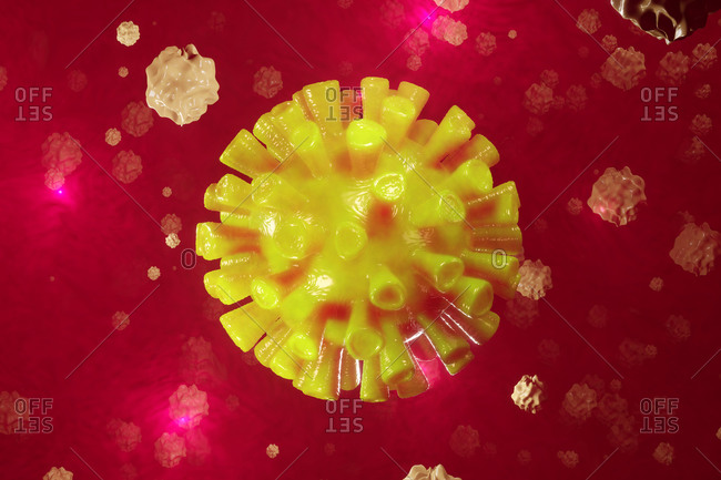 3D Rendered Illustration of a Corona virus surrounded by white blood cells