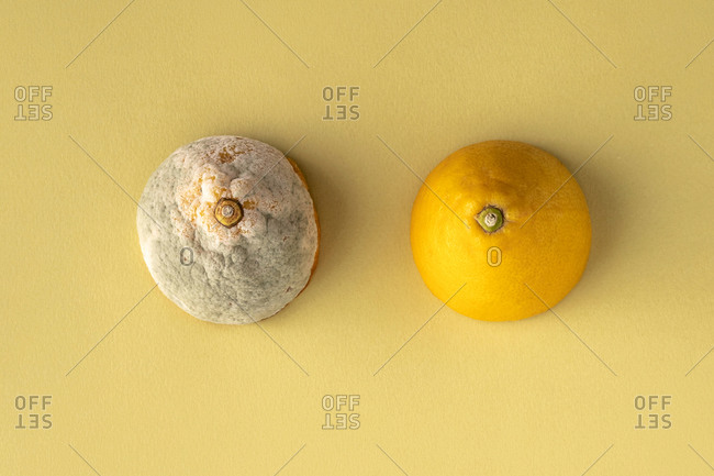 Rotten and fresh lemon on a light yellow background symbolizing breast cancer