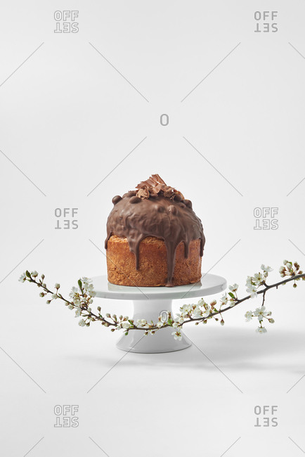Homemade freshly baked chocolate glazed cake on a ceramic plate on a light grey background with copyspace with cherry blossom twig