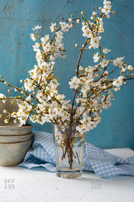 Cherry blossom twigs on white table