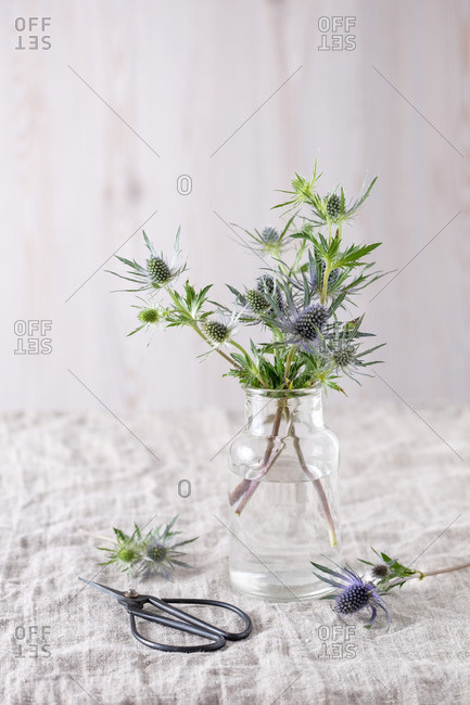 Still Life Blue thistle branches in a simple glass vase on a light linen cloth