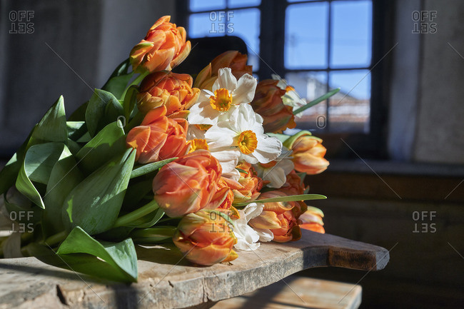 a bouquet of tulips and daffodils in the gardening on old wooden table