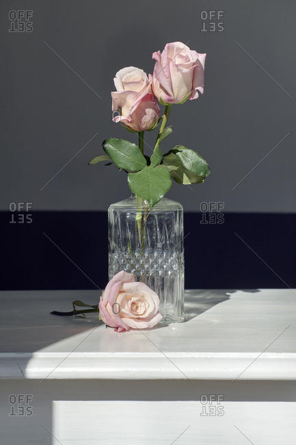 Roses in front of and in glass vase