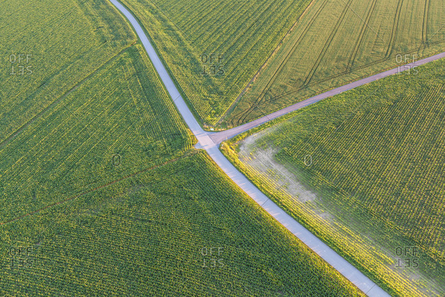 Road through corn fields at Chieming am Chiemsee, Chiemgau, Upper Bavaria, Bavaria, southern Germany, Germany, Europe