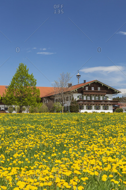 Bergerhof in Marwang near Grabenstadt, Chiemgau, Upper Bavaria, Bavaria, Southern Germany, Germany, Europe
