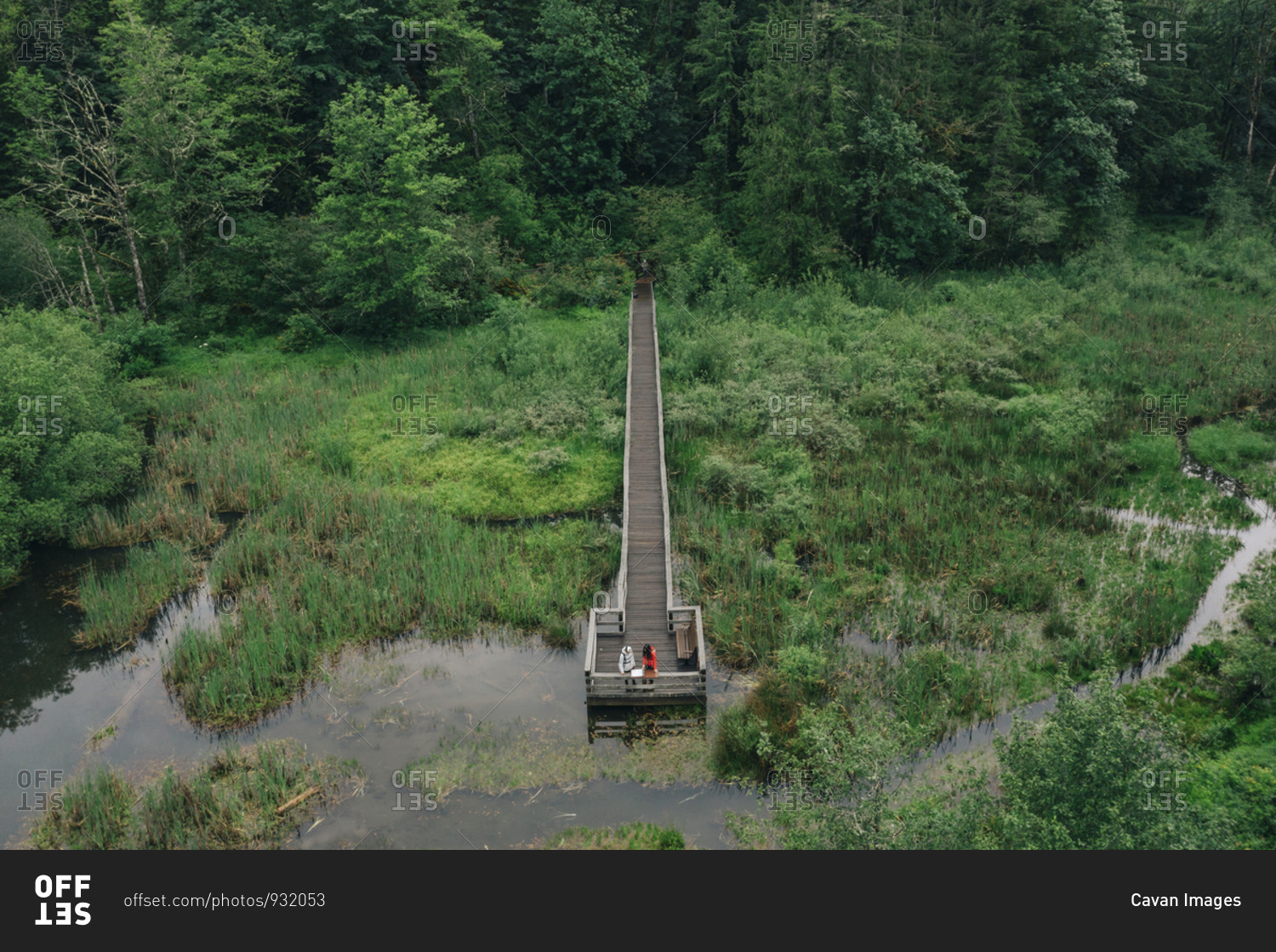 A young couple enjoys a hike on a boardwalk in the Pacific Northwest.