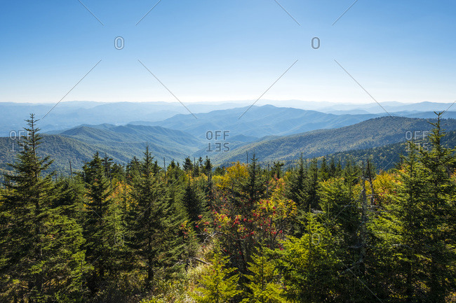 Smoky Mountains National Park, Clingmans Dome, border of North Carolina and Tennessee, United States