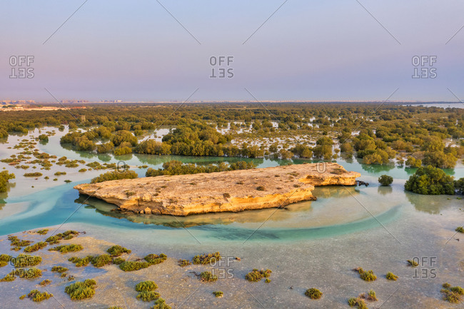Aerial view of flooded vegetation at Abu Al Sayayif natural reserve, Abu Dhabi, United Arab Emirates