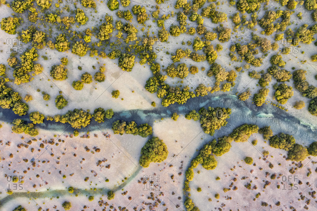 Aerial view above of stream crossing Abu Al Sayayif natural reserve, Abu Dhabi, United Arab Emirates