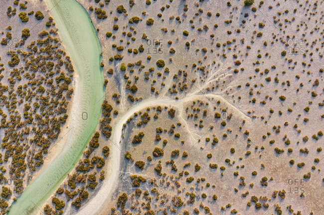 Aerial view above of stream crossing Abu Al Sayayif natural reserve, Abu Dhabi, United Arab Emirates