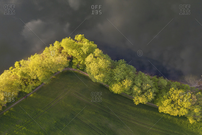 Germany- Brandenburg- Drone view of countryside field and line of lakeshore trees