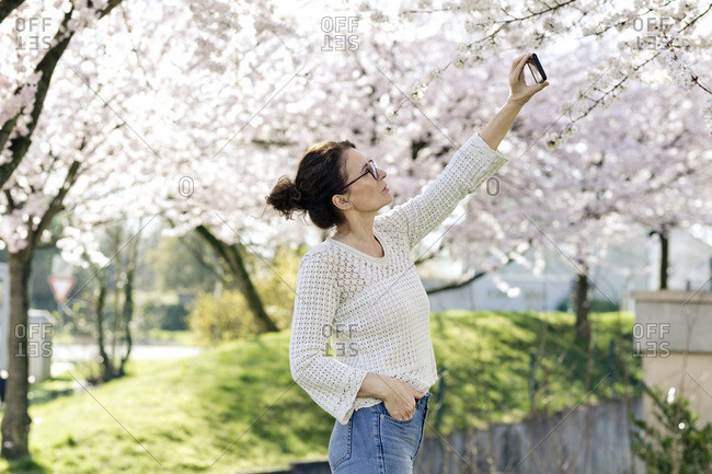 Portrait of mature woman taking photo of tree blossoms with smartphone