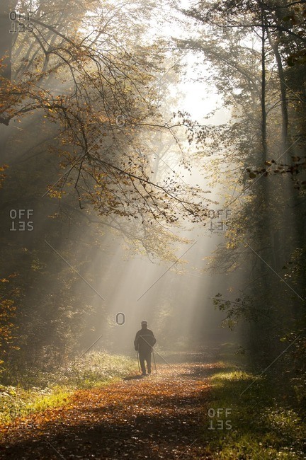 Man runs through autumn forest in the morning