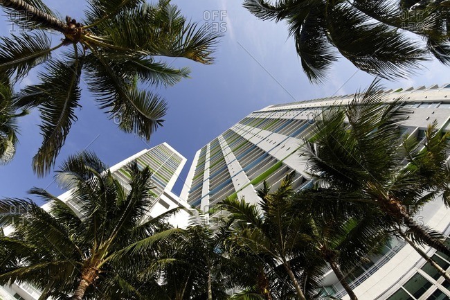View to the sky, super wide angle, skyscrapers, EPIC Marina, Miami River Walk, Downtown Miami, Florida, USA