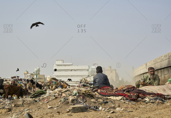 November 26, 2019: Dhobi Ghat Garbage Dump, Garden, Karachi, Pakistan; 26 November 2019; The garbage dump at Dhobi Ghat is situated on the banks of the Lyari River in Karachi, Pakistan very close to Dhobi Ghatthe magnificent washing wharf in Karachi, Pakistan. Very often cows and other animals graze directly on the garbage dump.