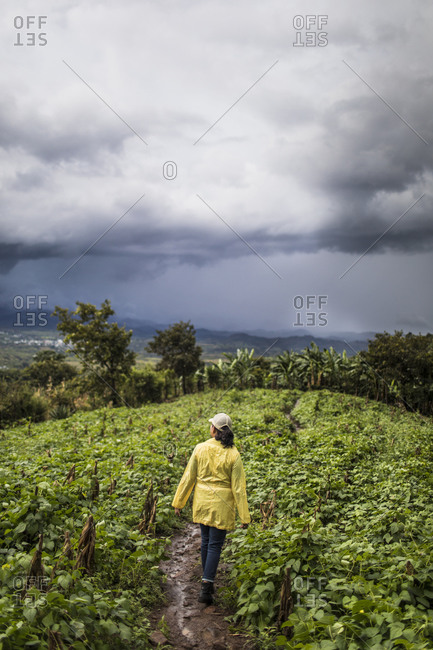Young woman wearing yellow coat walks through lush field in Guatemala.